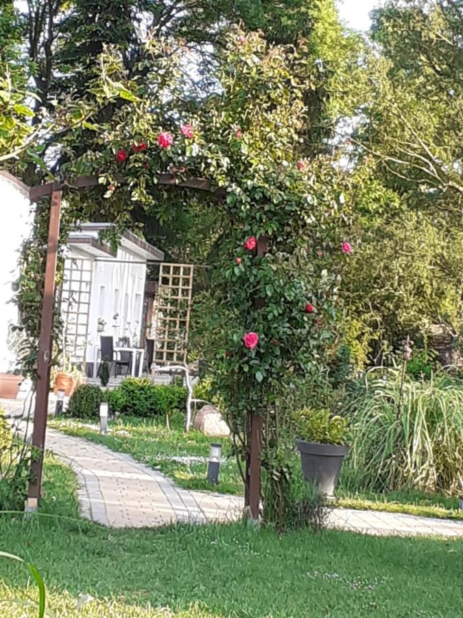 Apartament Ferienhaus Ciara Splietsdorf Zewnętrze zdjęcie